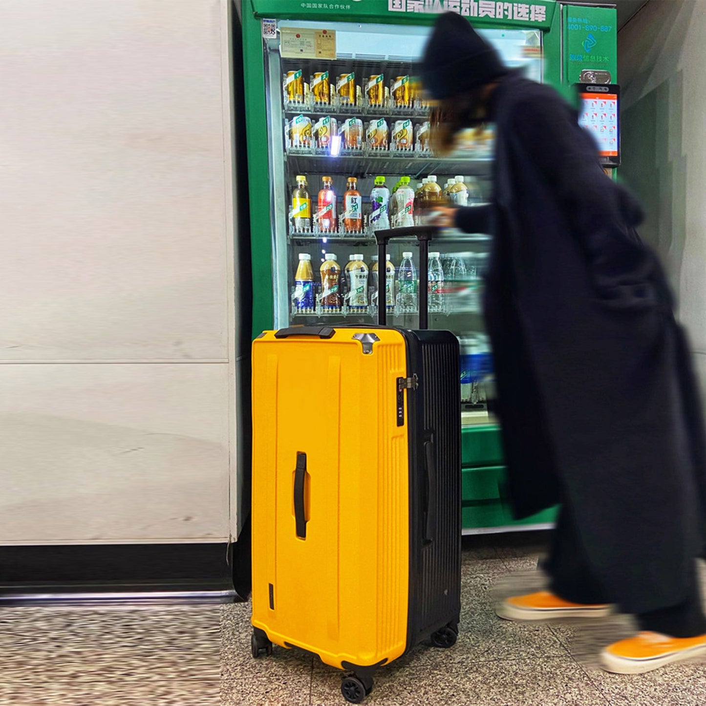 Apus Trunk Suitcase